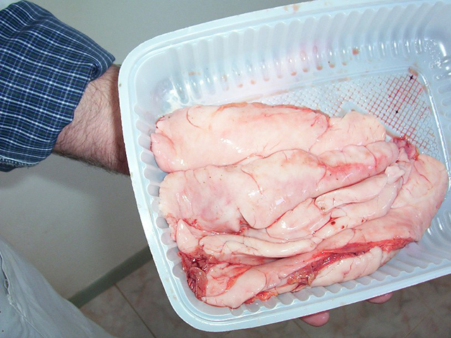 image of Milt carp roe